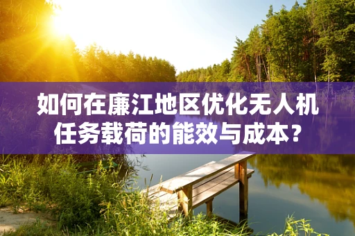 如何在廉江地区优化无人机任务载荷的能效与成本？