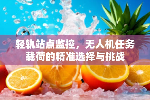 轻轨站点监控，无人机任务载荷的精准选择与挑战