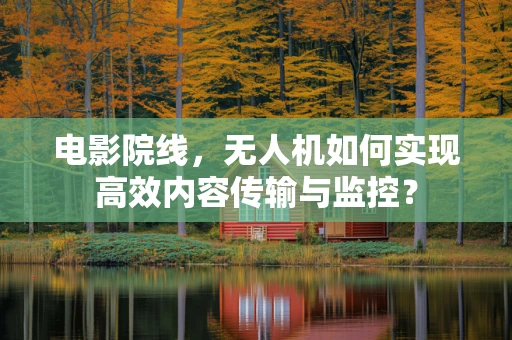 电影院线，无人机如何实现高效内容传输与监控？