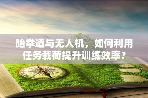 跆拳道与无人机，如何利用任务载荷提升训练效率？