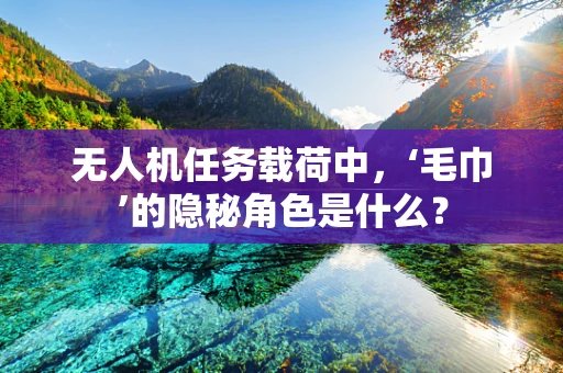 无人机任务载荷中，‘毛巾’的隐秘角色是什么？