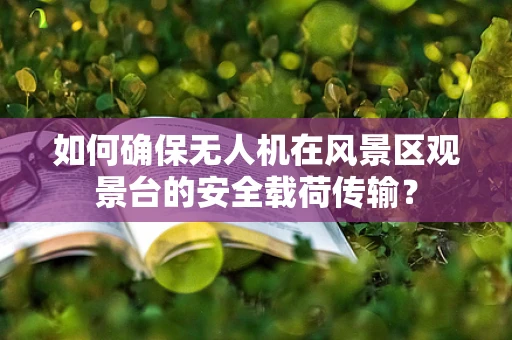 如何确保无人机在风景区观景台的安全载荷传输？