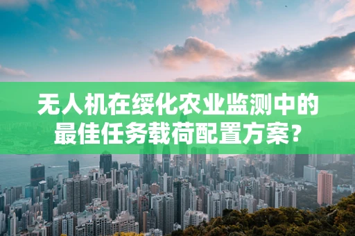 无人机在绥化农业监测中的最佳任务载荷配置方案？
