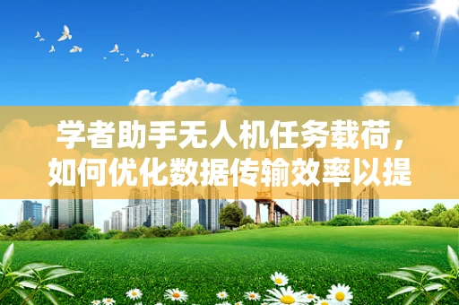 学者助手无人机任务载荷，如何优化数据传输效率以提升科研效率？