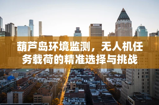 葫芦岛环境监测，无人机任务载荷的精准选择与挑战
