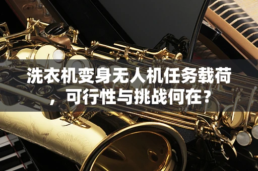洗衣机变身无人机任务载荷，可行性与挑战何在？