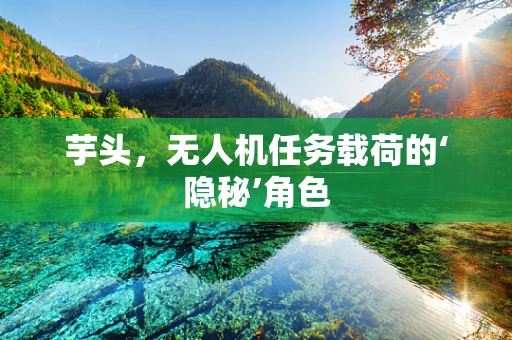 芋头，无人机任务载荷的‘隐秘’角色