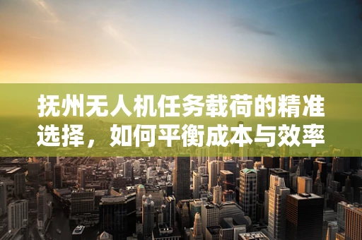抚州无人机任务载荷的精准选择，如何平衡成本与效率？