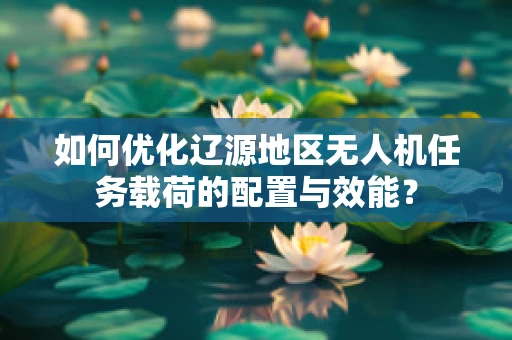 如何优化辽源地区无人机任务载荷的配置与效能？