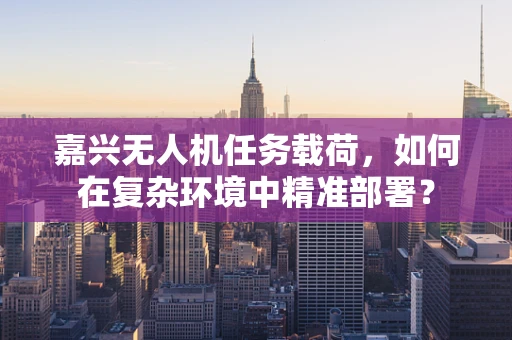 嘉兴无人机任务载荷，如何在复杂环境中精准部署？