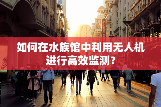 如何在水族馆中利用无人机进行高效监测？