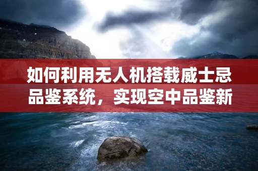 如何利用无人机搭载威士忌品鉴系统，实现空中品鉴新体验？