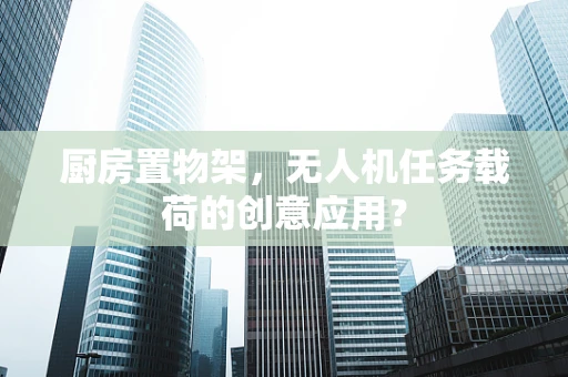 厨房置物架，无人机任务载荷的创意应用？