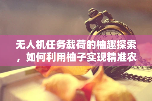 无人机任务载荷的柚趣探索，如何利用柚子实现精准农业监测？