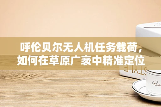 呼伦贝尔无人机任务载荷，如何在草原广袤中精准定位与监测？