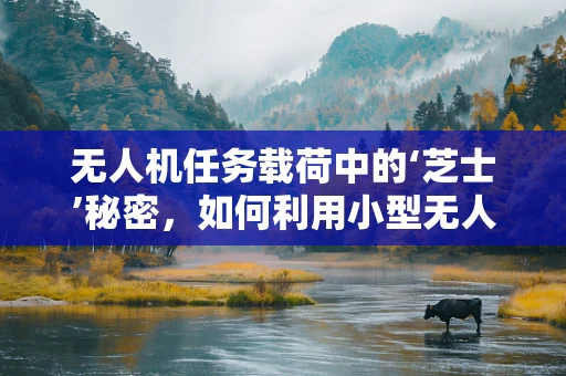 无人机任务载荷中的‘芝士’秘密，如何利用小型无人机进行奶酪监测？
