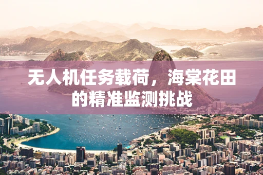 无人机任务载荷，海棠花田的精准监测挑战