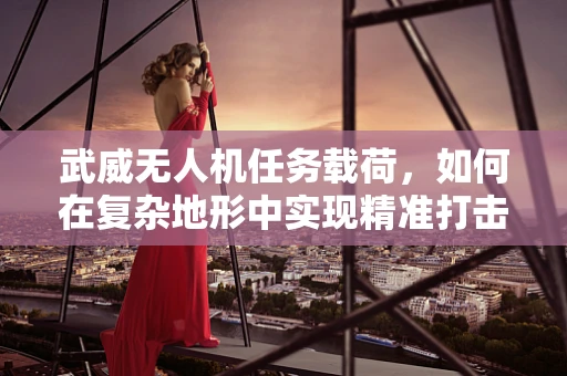 武威无人机任务载荷，如何在复杂地形中实现精准打击？