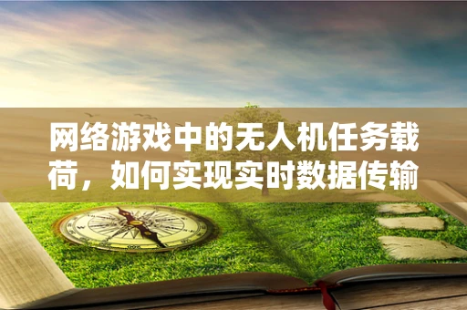 网络游戏中的无人机任务载荷，如何实现实时数据传输与互动体验？