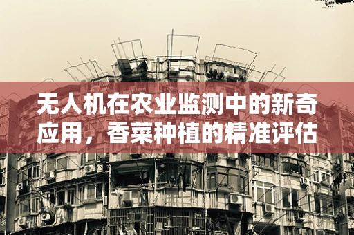 无人机在农业监测中的新奇应用，香菜种植的精准评估