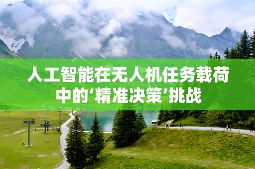 人工智能在无人机任务载荷中的‘精准决策’挑战