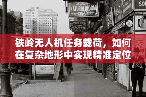 铁岭无人机任务载荷，如何在复杂地形中实现精准定位？