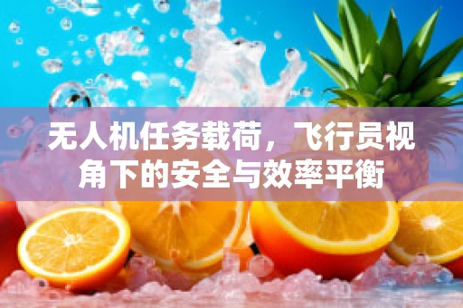 无人机任务载荷，飞行员视角下的安全与效率平衡