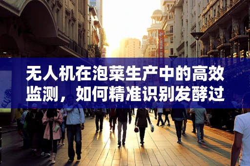 无人机在泡菜生产中的高效监测，如何精准识别发酵过程中的关键参数？