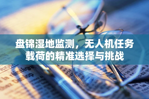 盘锦湿地监测，无人机任务载荷的精准选择与挑战