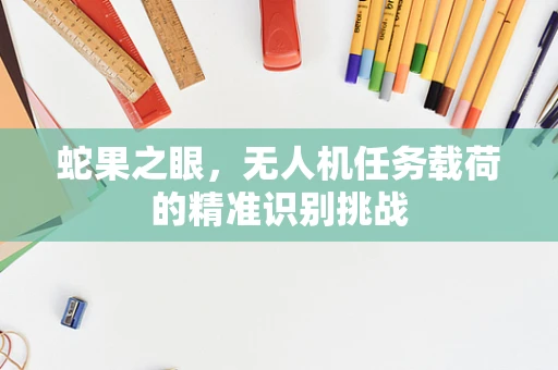 蛇果之眼，无人机任务载荷的精准识别挑战