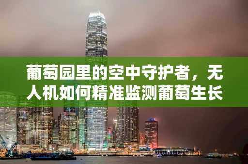 葡萄园里的空中守护者，无人机如何精准监测葡萄生长？
