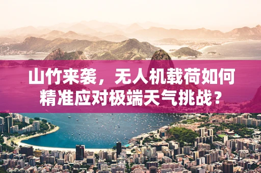 山竹来袭，无人机载荷如何精准应对极端天气挑战？