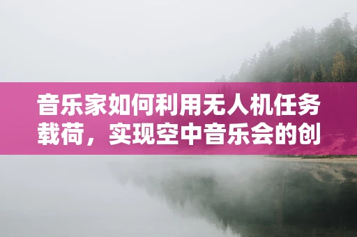 音乐家如何利用无人机任务载荷，实现空中音乐会的创新体验？