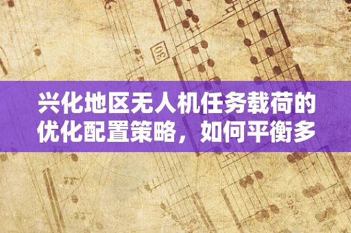 兴化地区无人机任务载荷的优化配置策略，如何平衡多任务需求与资源限制？