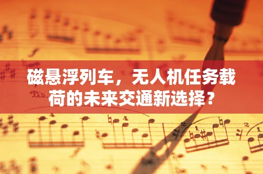 磁悬浮列车，无人机任务载荷的未来交通新选择？