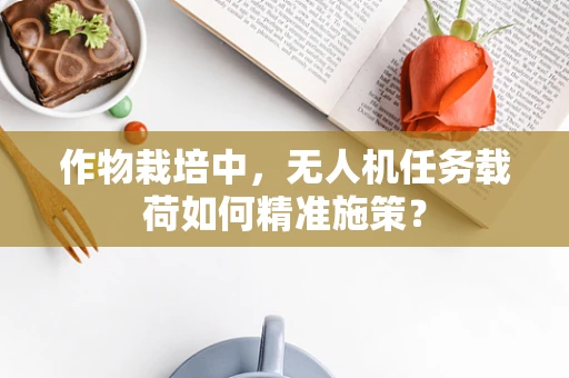 作物栽培中，无人机任务载荷如何精准施策？