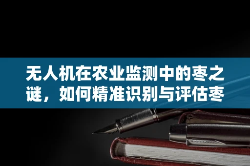 无人机在农业监测中的枣之谜，如何精准识别与评估枣子产量？