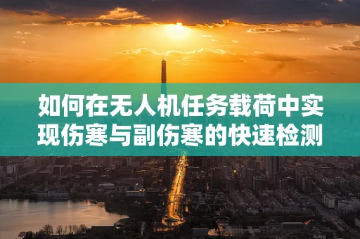 如何在无人机任务载荷中实现伤寒与副伤寒的快速检测？