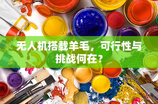 无人机搭载羊毛，可行性与挑战何在？