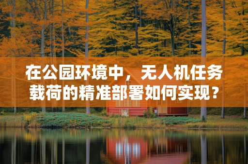 在公园环境中，无人机任务载荷的精准部署如何实现？