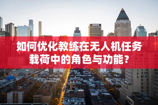 如何优化教练在无人机任务载荷中的角色与功能？