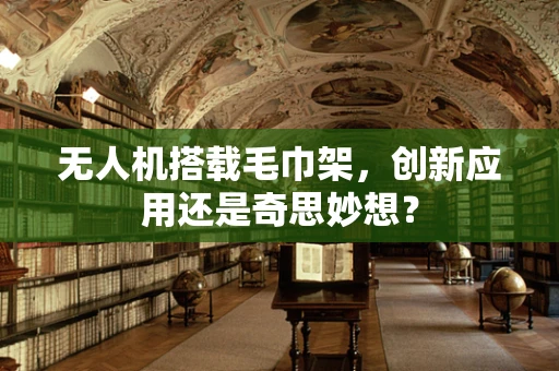 无人机搭载毛巾架，创新应用还是奇思妙想？