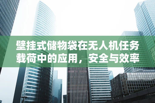 壁挂式储物袋在无人机任务载荷中的应用，安全与效率的平衡？