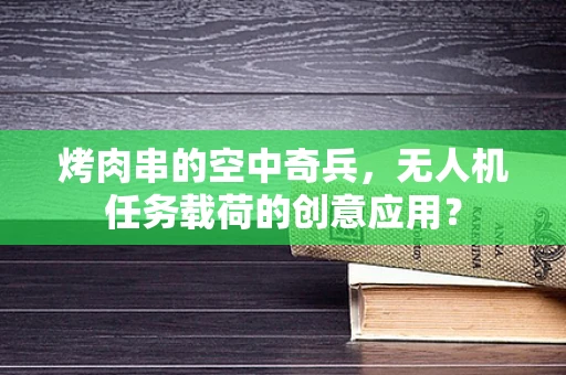 烤肉串的空中奇兵，无人机任务载荷的创意应用？
