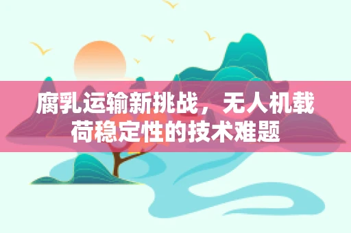 腐乳运输新挑战，无人机载荷稳定性的技术难题