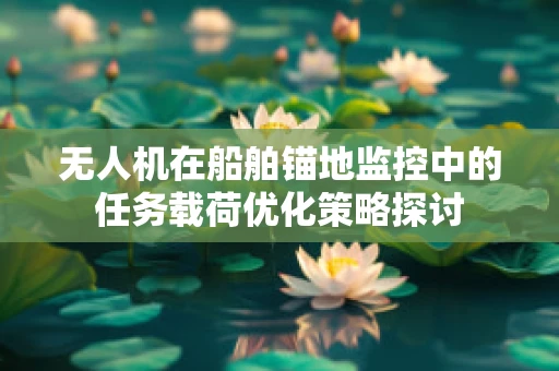 无人机在船舶锚地监控中的任务载荷优化策略探讨