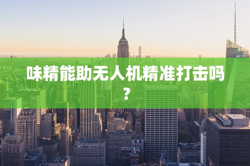 味精能助无人机精准打击吗？