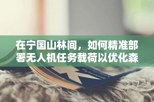 在宁国山林间，如何精准部署无人机任务载荷以优化森林监测？