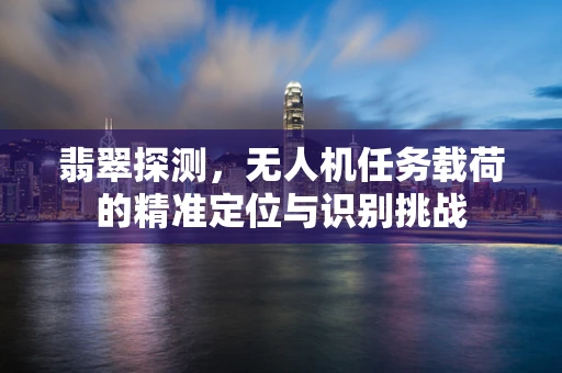翡翠探测，无人机任务载荷的精准定位与识别挑战