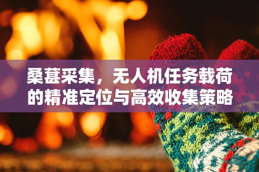 桑葚采集，无人机任务载荷的精准定位与高效收集策略